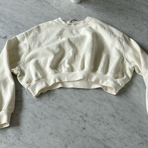 Zara oversized but fitted puffy sleeves